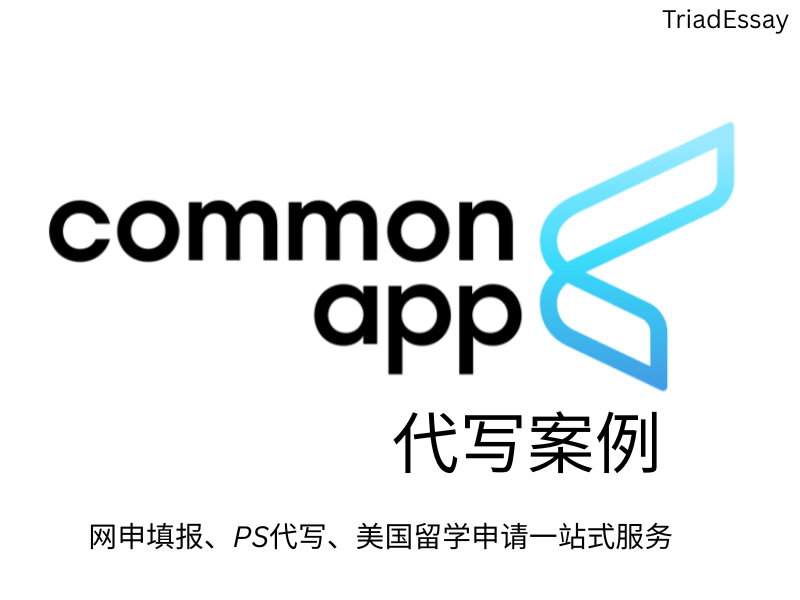 common app代写|代填|美国PS代写